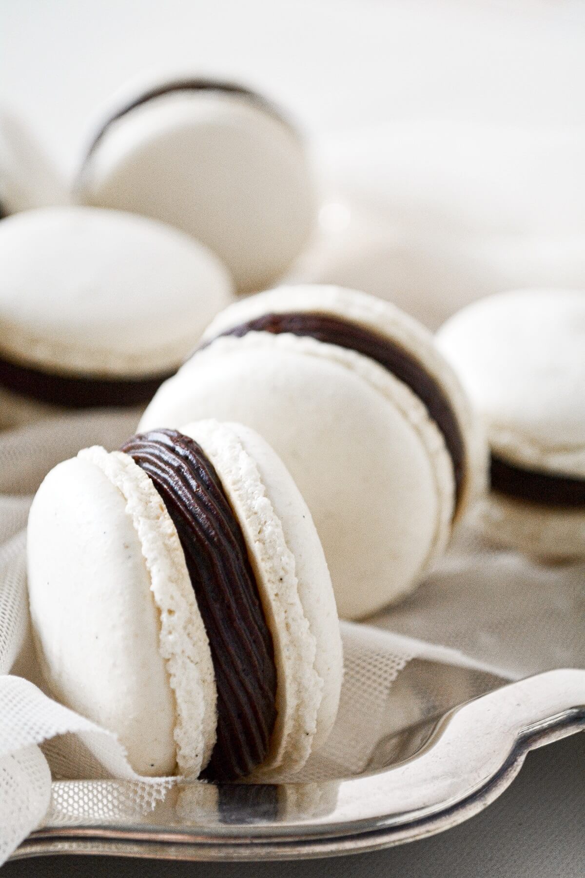 Vanilla bean French macarons, filled with chocolate buttercream.