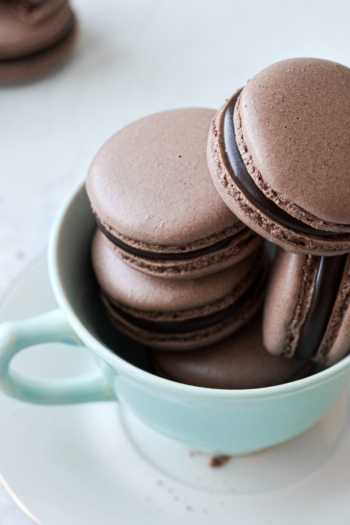 Chocolate macarons, filled with dark chocolate ganache, arranged in a vintage tea cup.