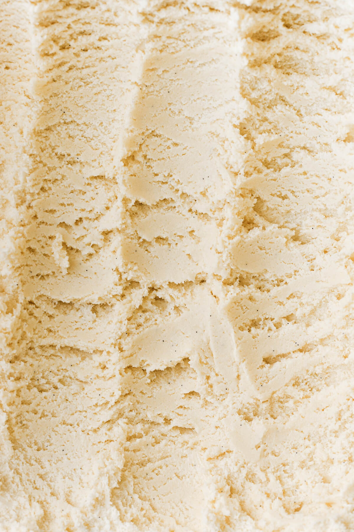 Closeup of vanilla bean ice cream.