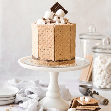 A s'mores ice cream cake on a white cake stand.