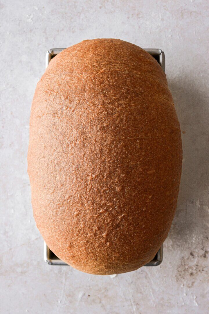 Freshly baked white sandwich bread in a loaf pan.