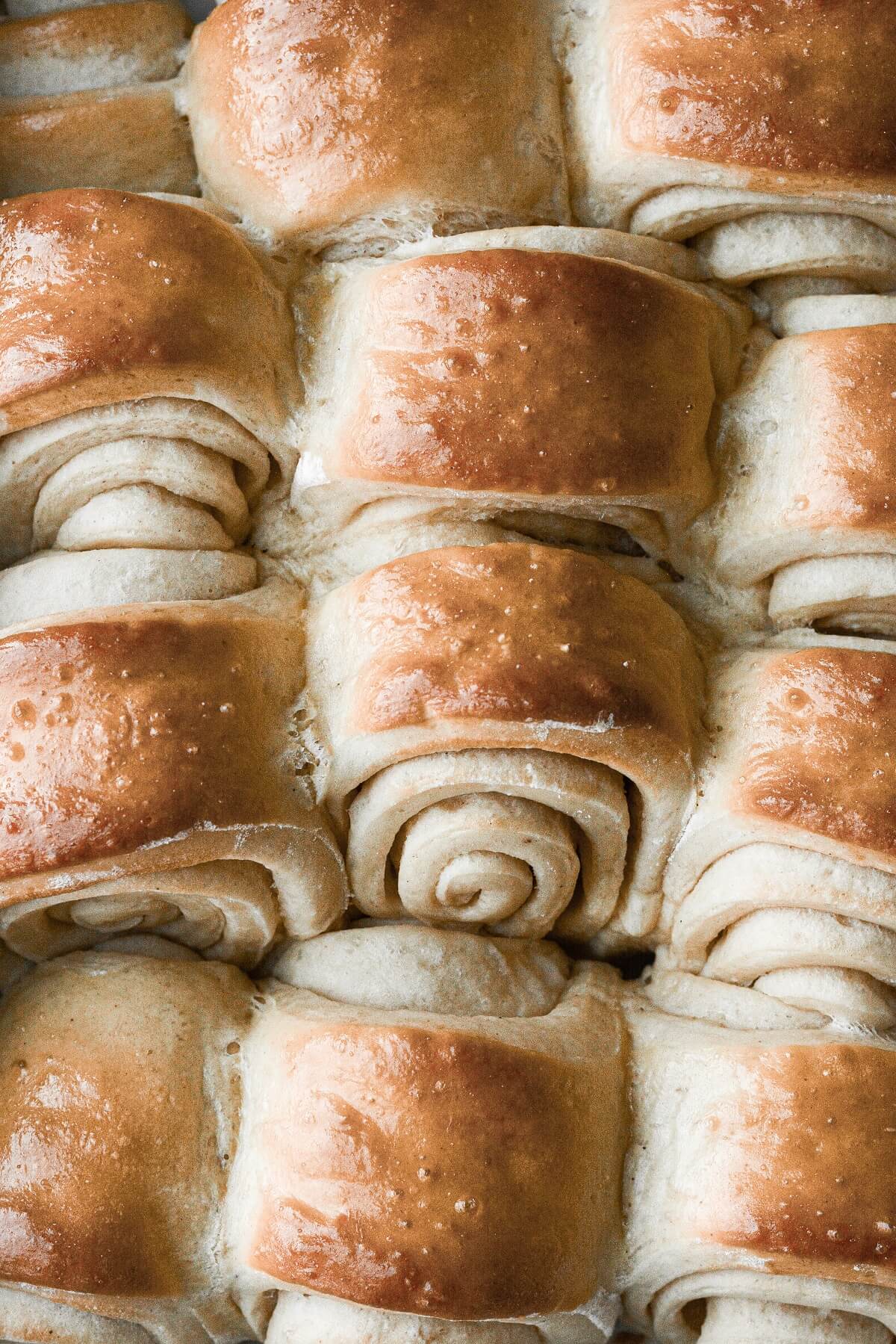 Closeup of just-baked Parker House dinner rolls.