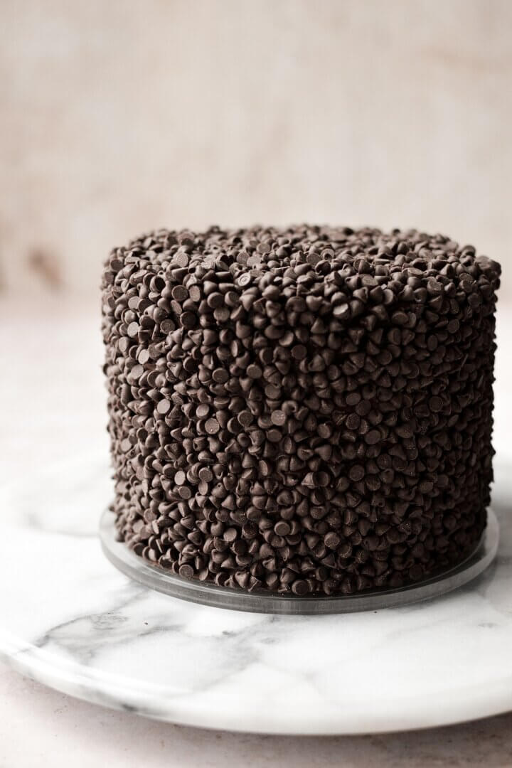 Chocolate chips covering a chocolate cake.