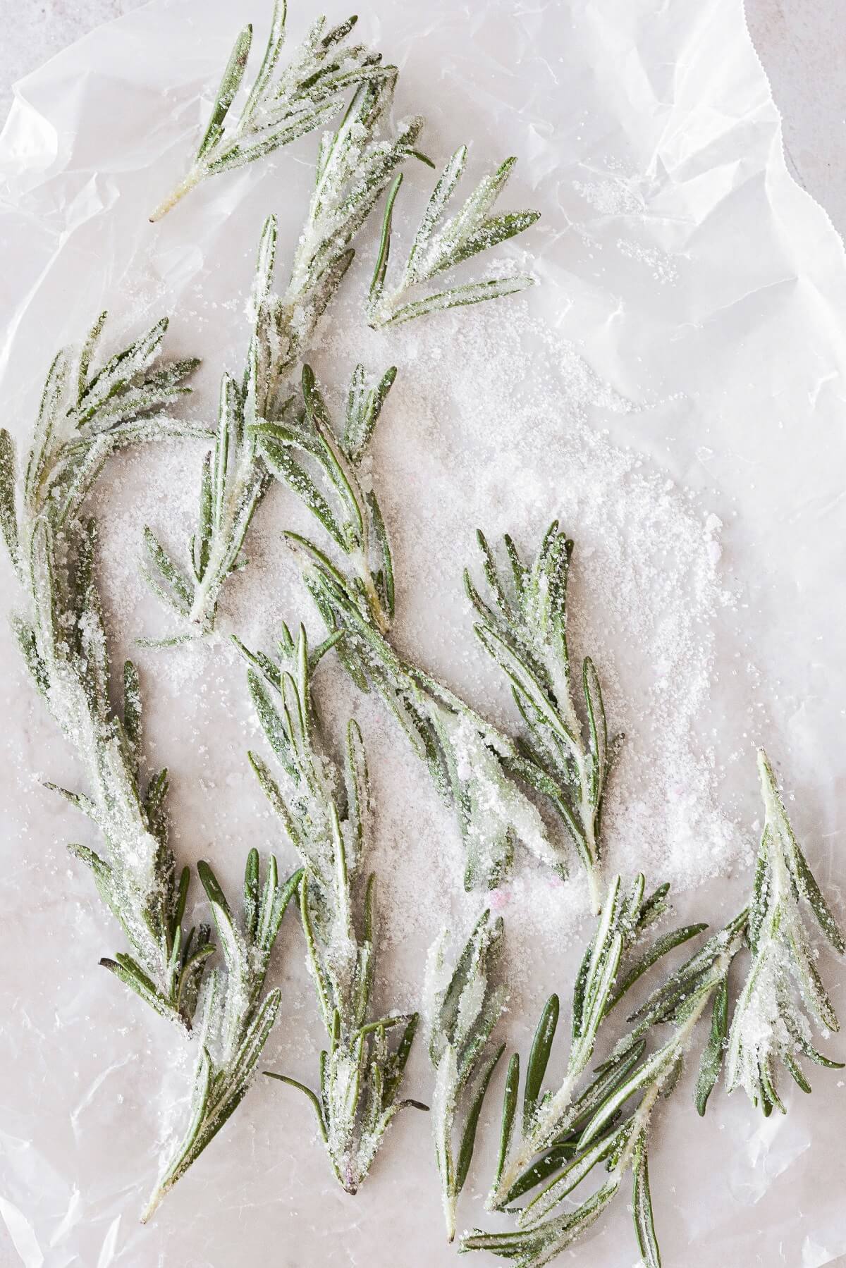 Sprigs of rosemary coated in sugar.