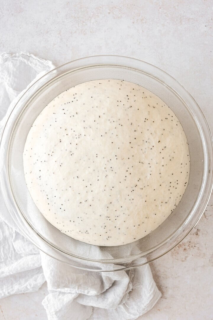 Poppy seed dough rising in a bowl.