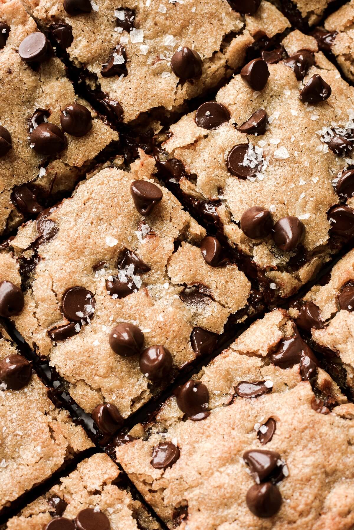Closeup of chocolate chips and sea salt on oatmeal cookie bars.