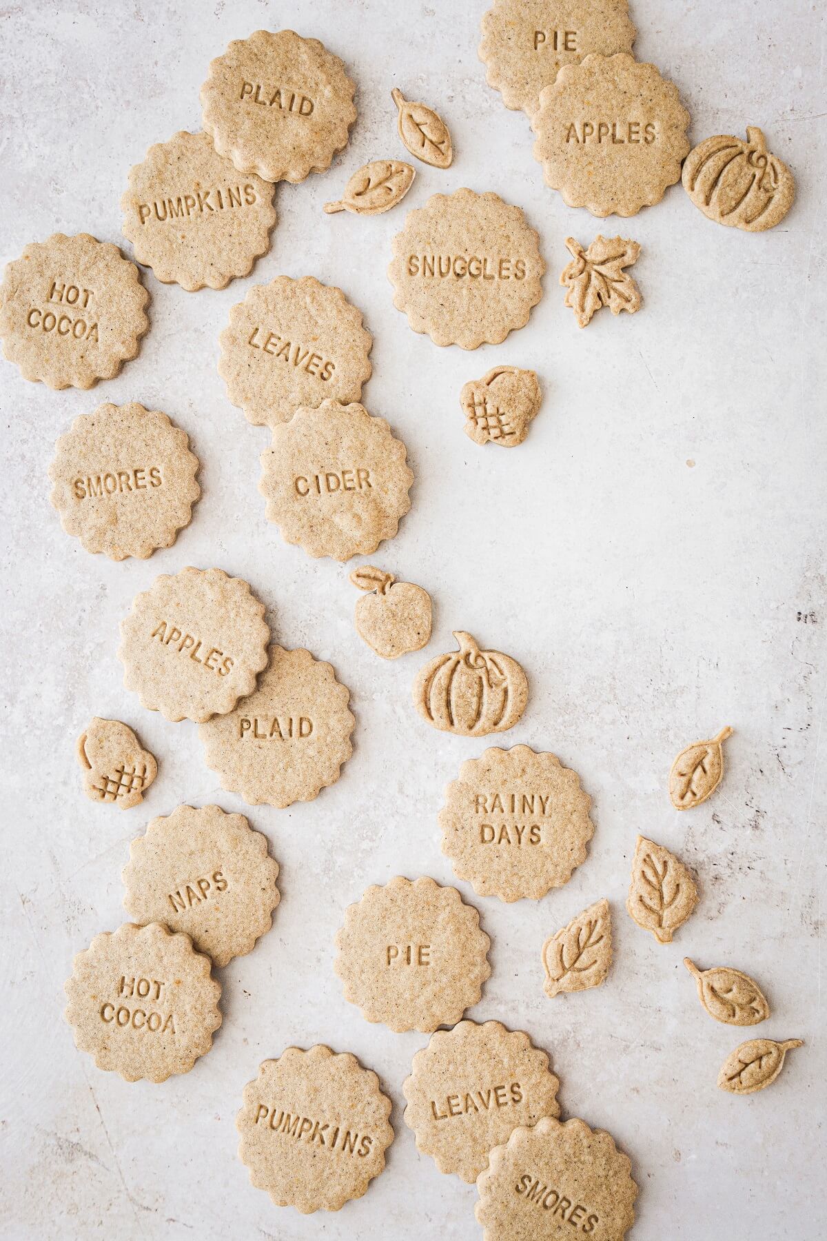 Pumpkin spice shortbread cookies stamped with favorite fall things such as "apples", "hot cocoa", "pie", etc.
