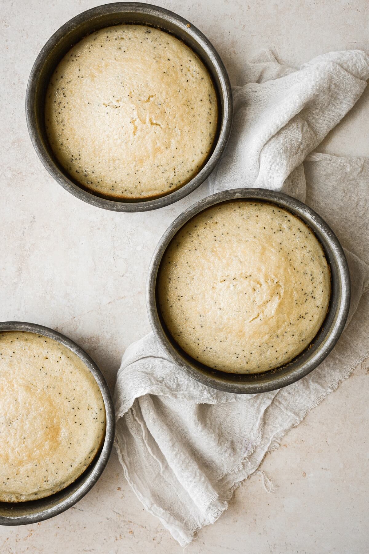 Almond poppy seed cakes cooling in cake pans.