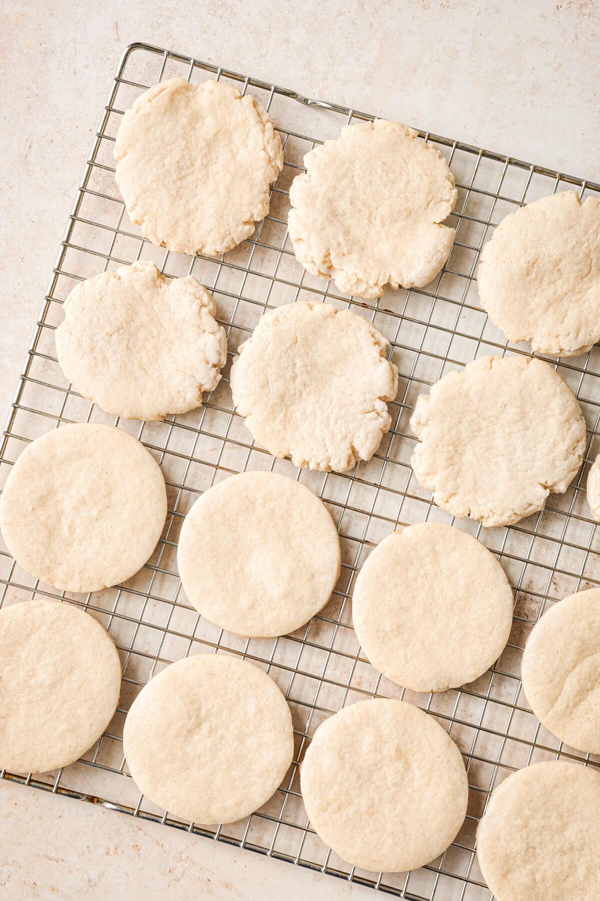 Baked sugar cookies on a cooling rack.