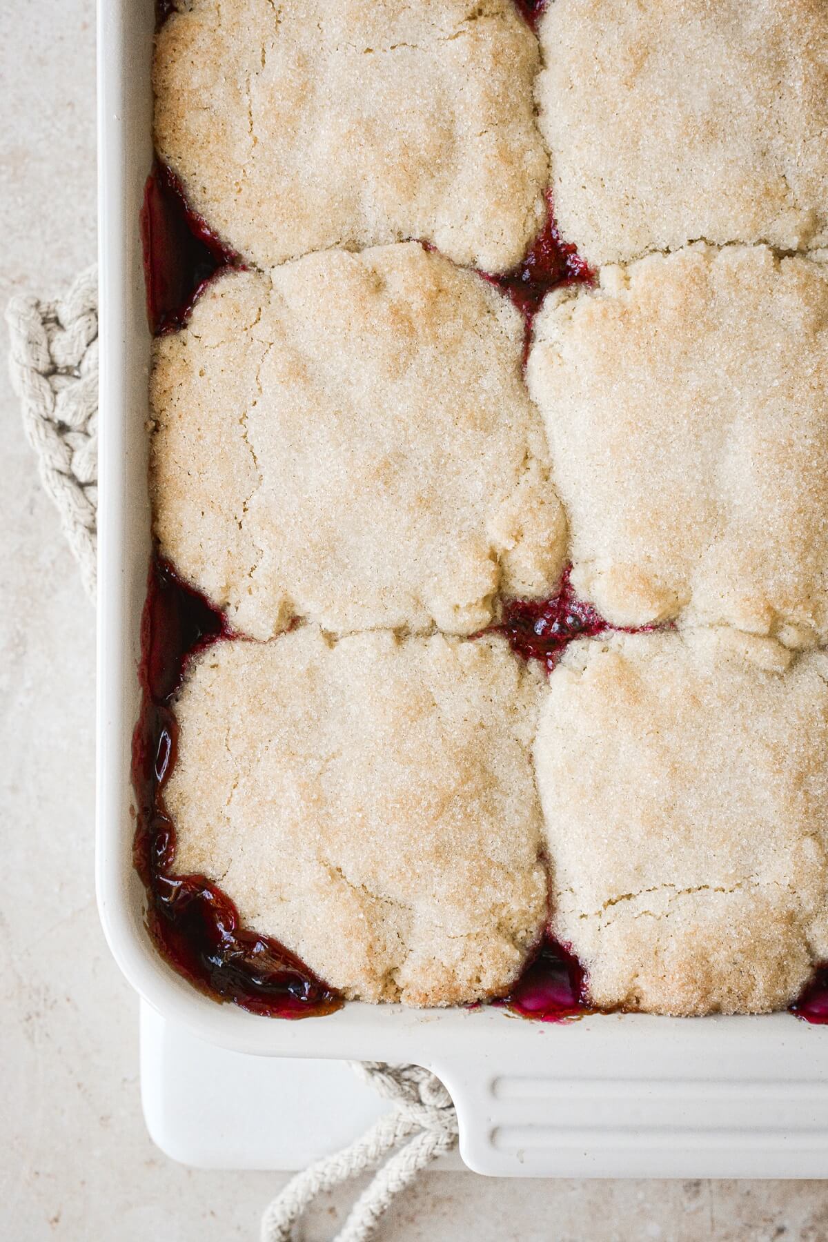 Just baked cherry cobbler with sugar cookie topping.