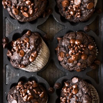 Double chocolate muffins sprinkled with chocolate chips.