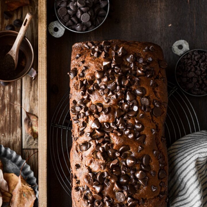 High Altitude Pumpkin Chocolate Chip Bread - Curly Girl Kitchen