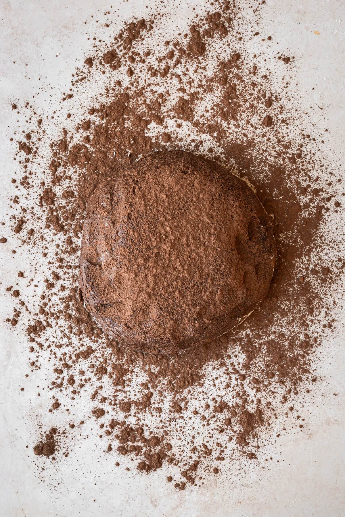 Chocolate yeast dough sprinkled with cocoa powder.