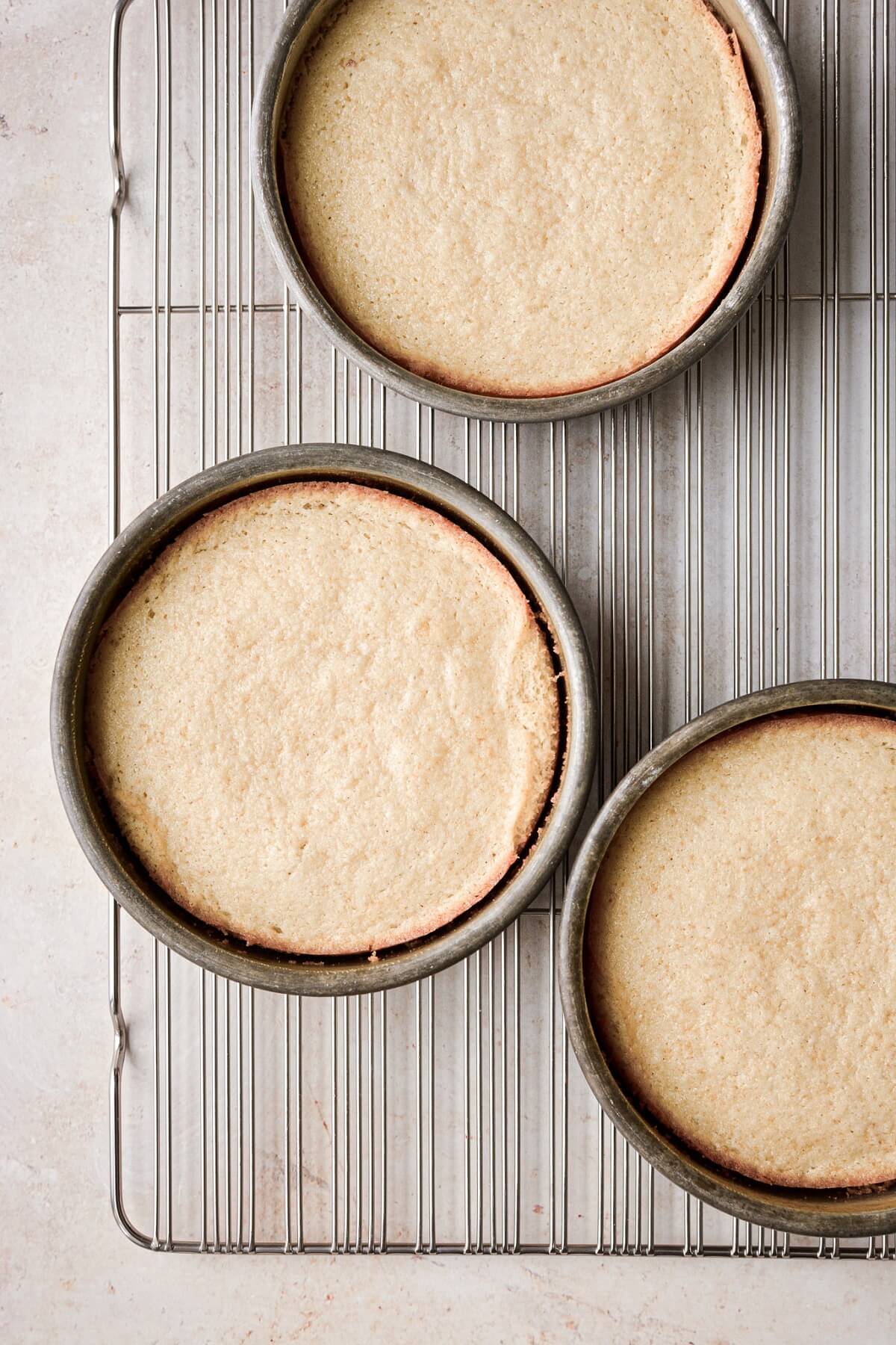 Almond cakes cooling in cake pans.