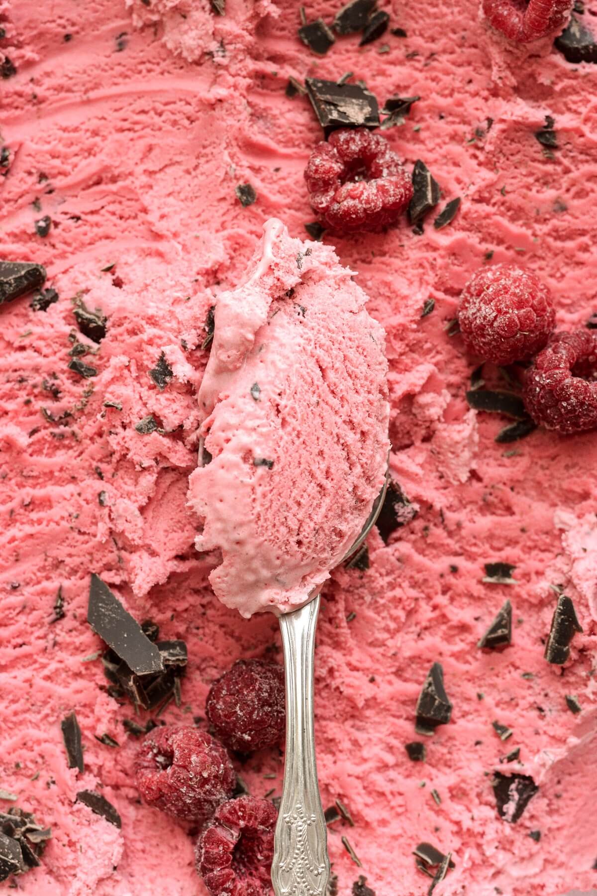 Spoonful of raspberry chocolate chunk ice cream.