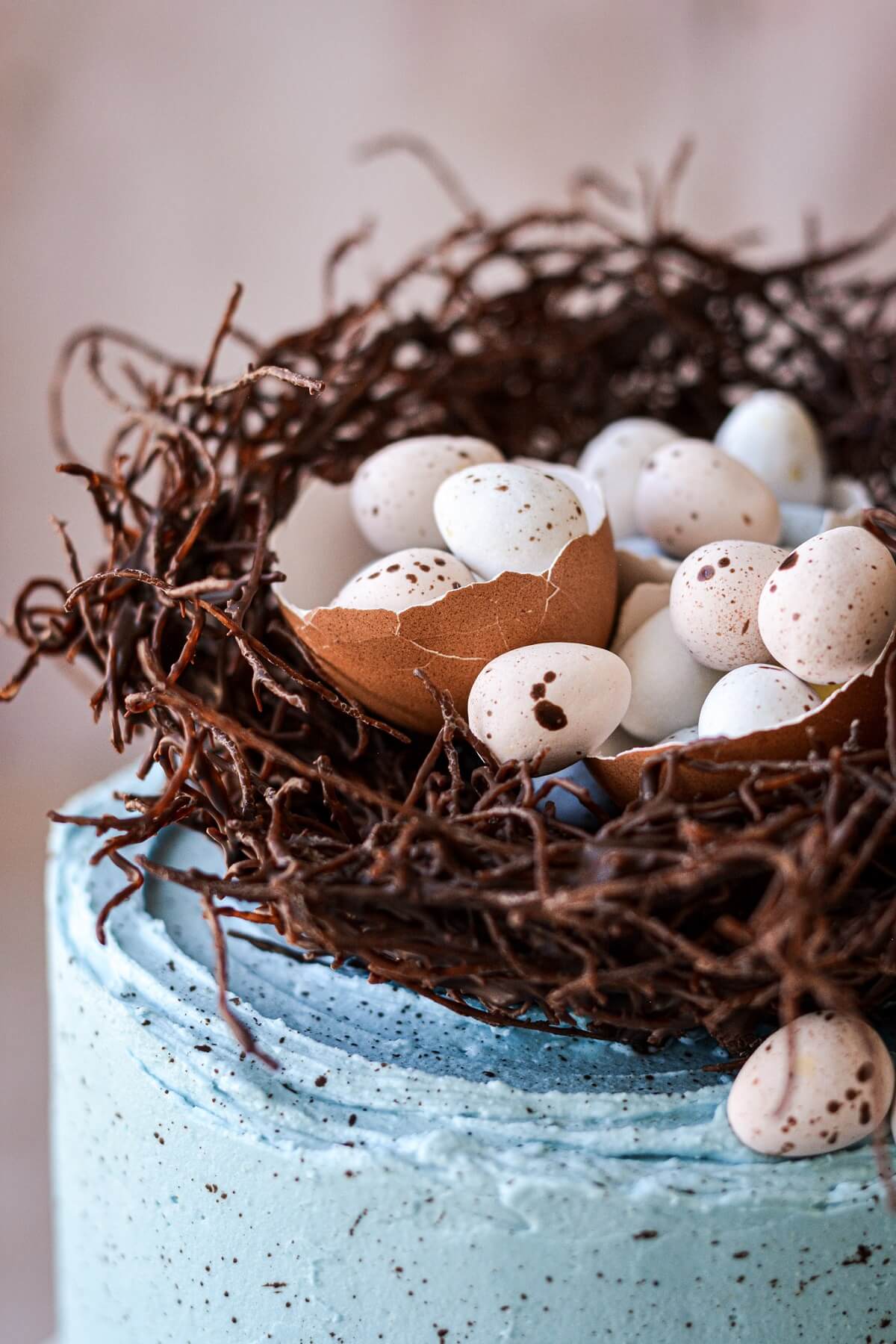 Cadbury mini eggs in a chocolate nest cake topper.