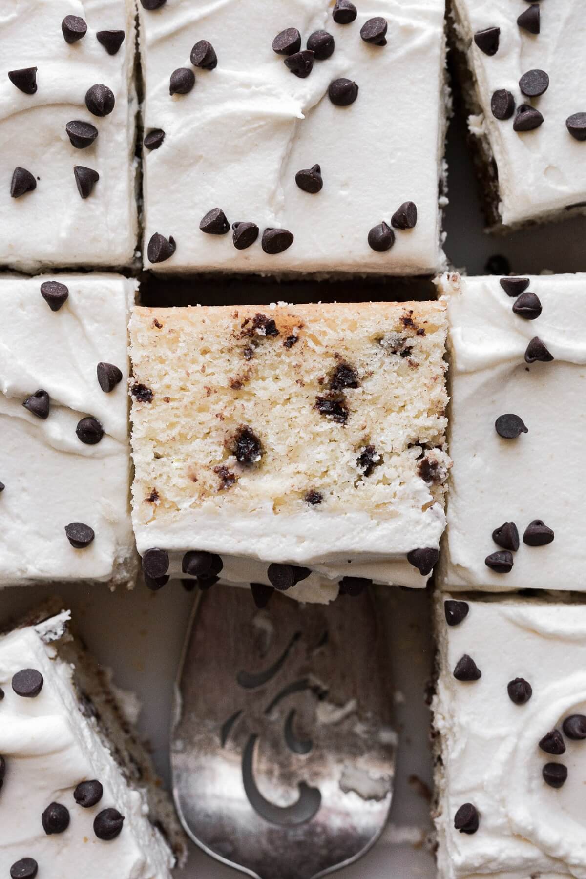 Chocolate chip cake, cut into squares.