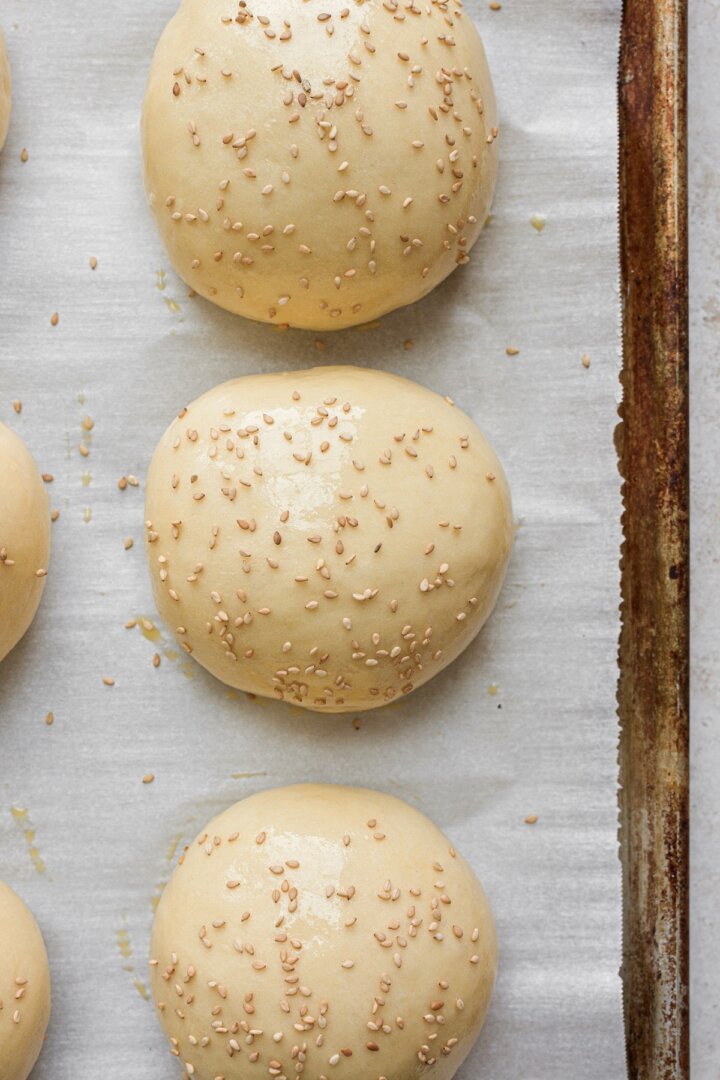 Hamburger buns sprinkled with sesame seeds, ready to bake.