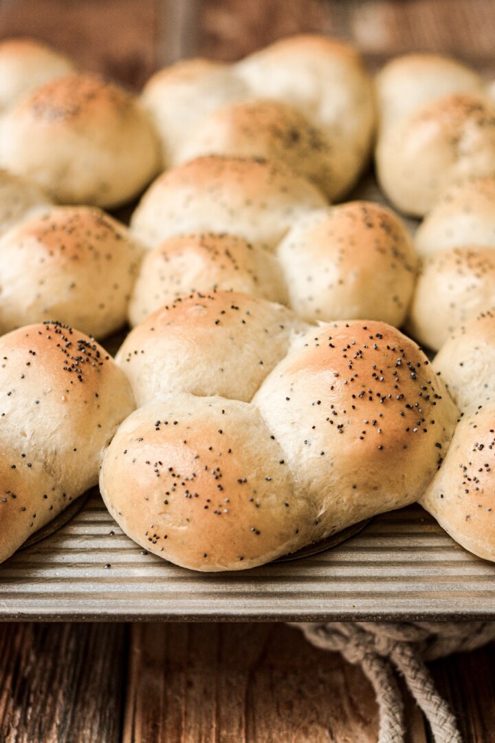 Freshly baked poppy seed rolls in a muffin pan.