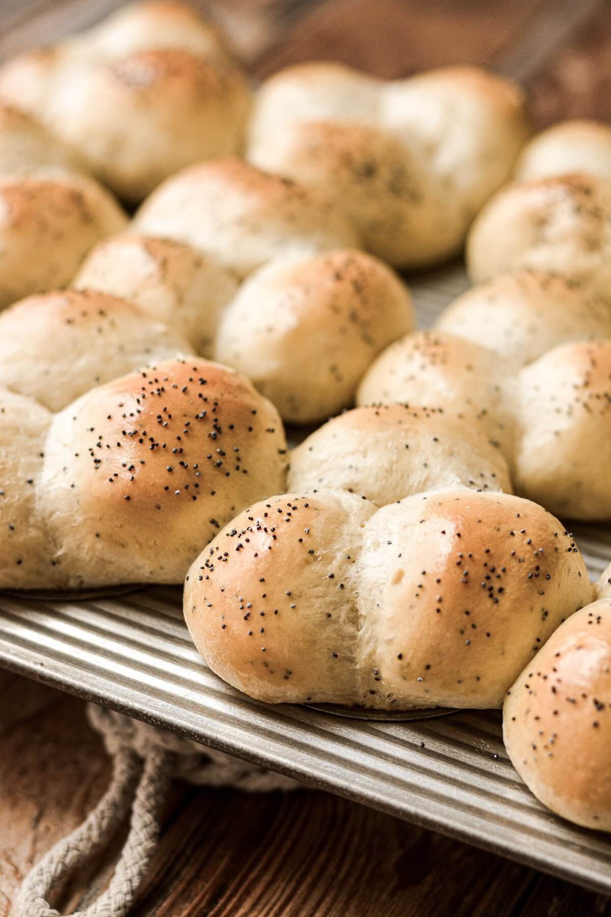 Poppy seed dinner rolls in a muffin pan.