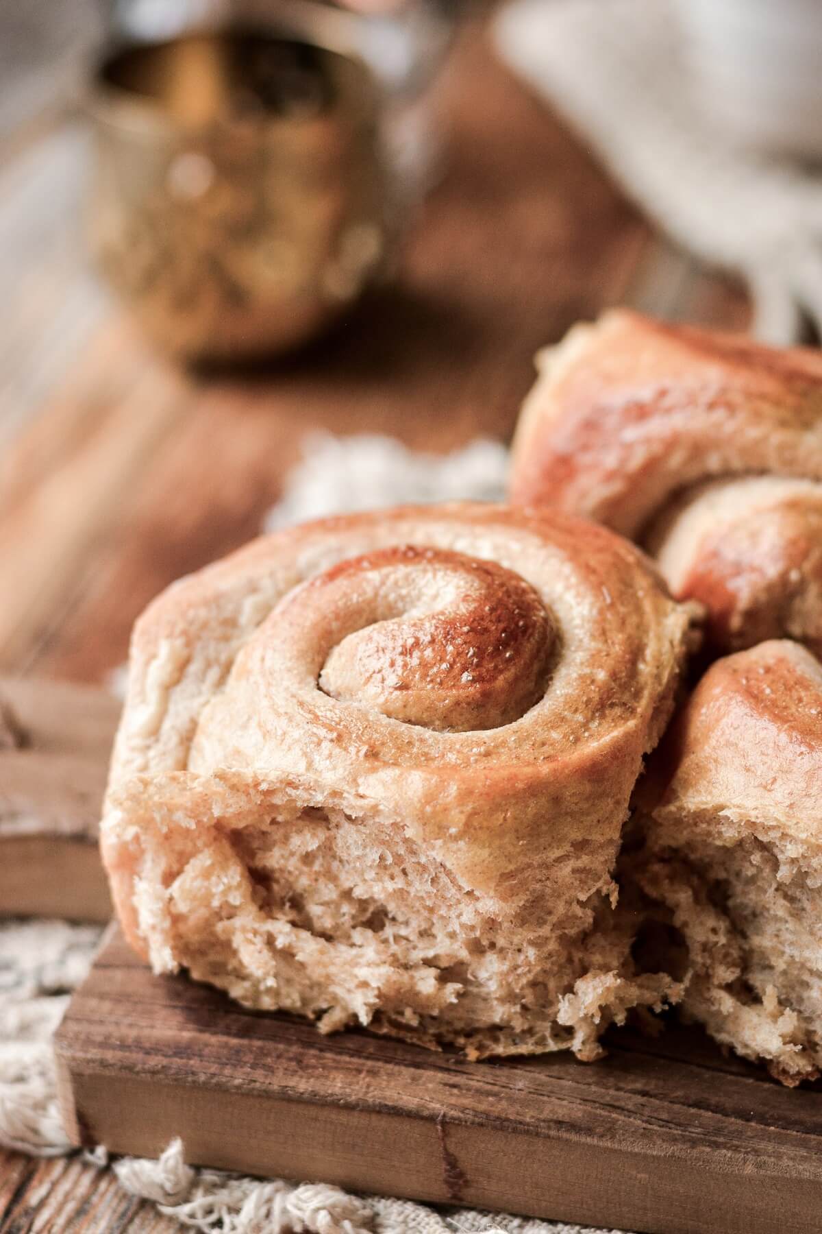 Whole wheat dinner rolls shaped in spirals.