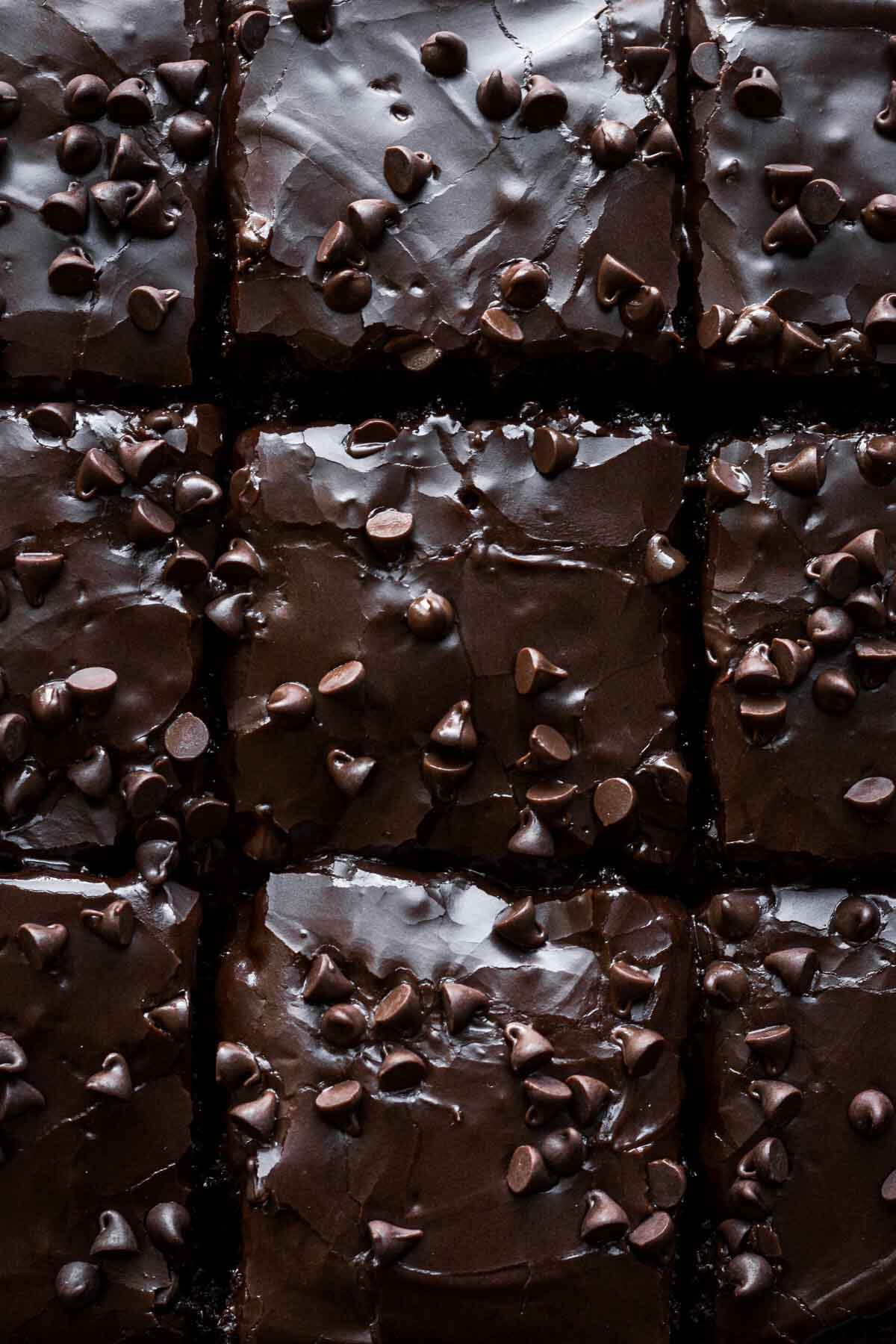 Squares of chocolate cake with chocolate icing and chocolate chips.