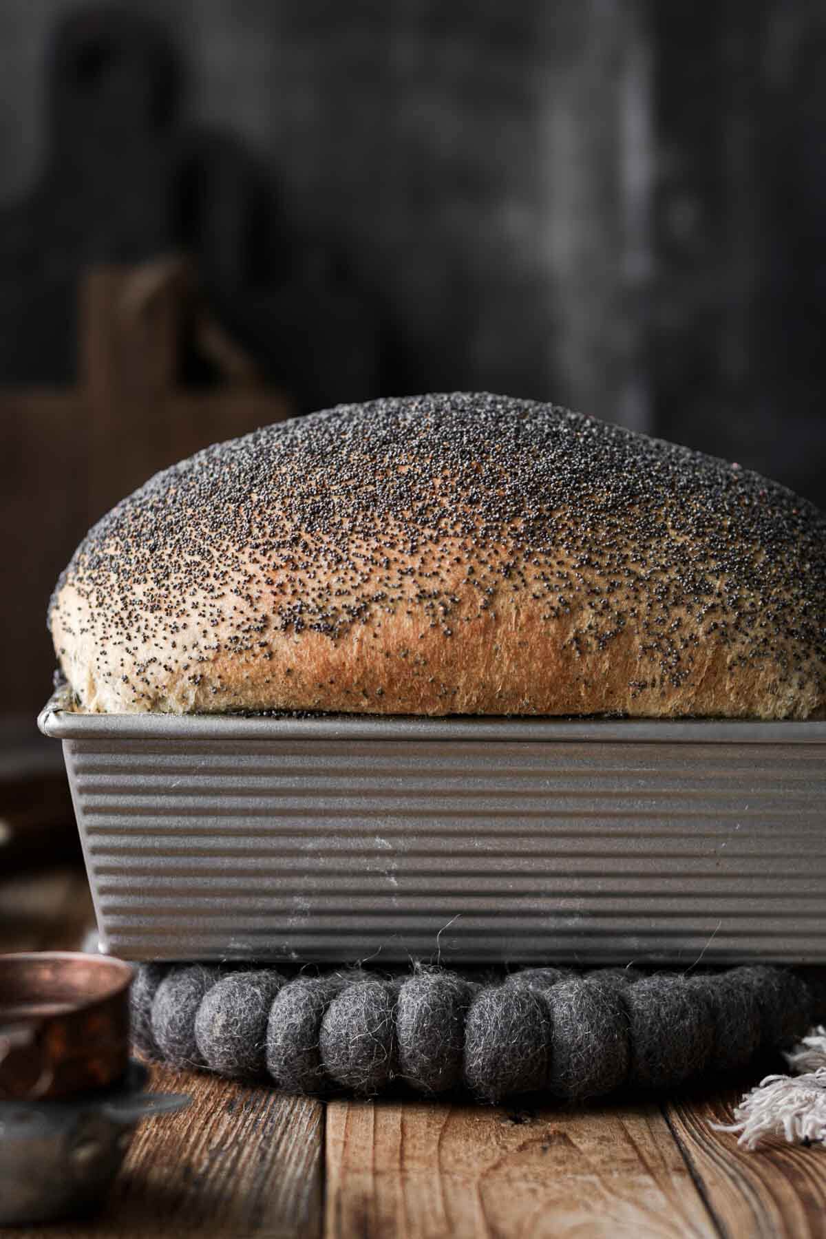 Loaf of poppy seed sandwich bread in a bread loaf pan.