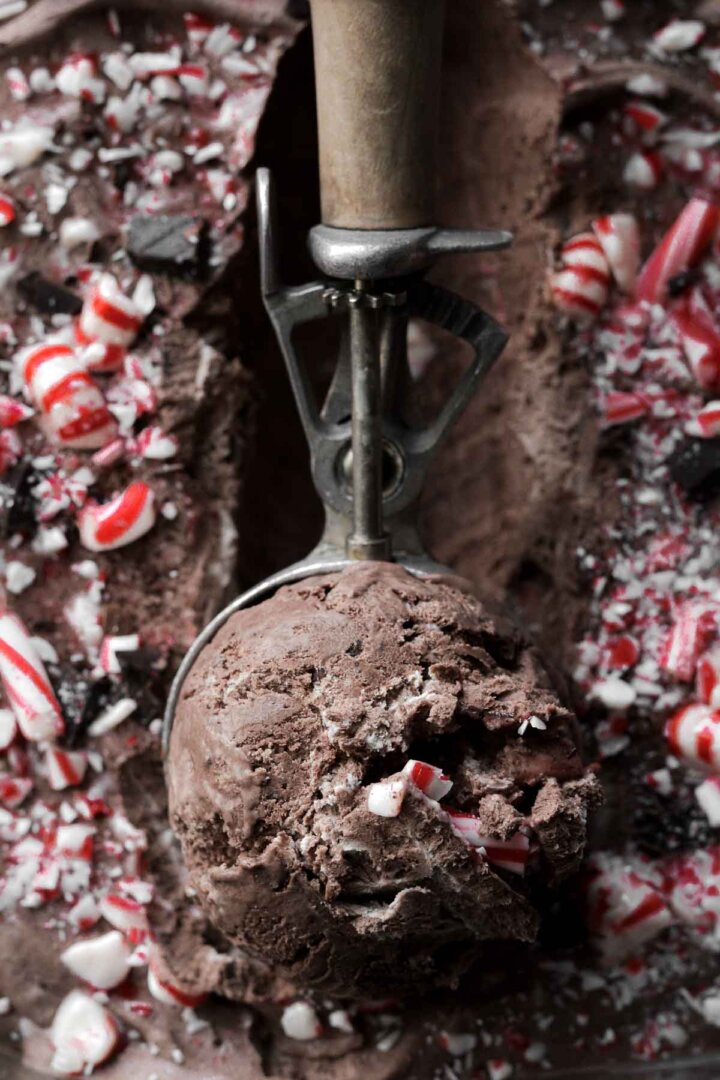 A scoop of chocolate peppermint ice cream.