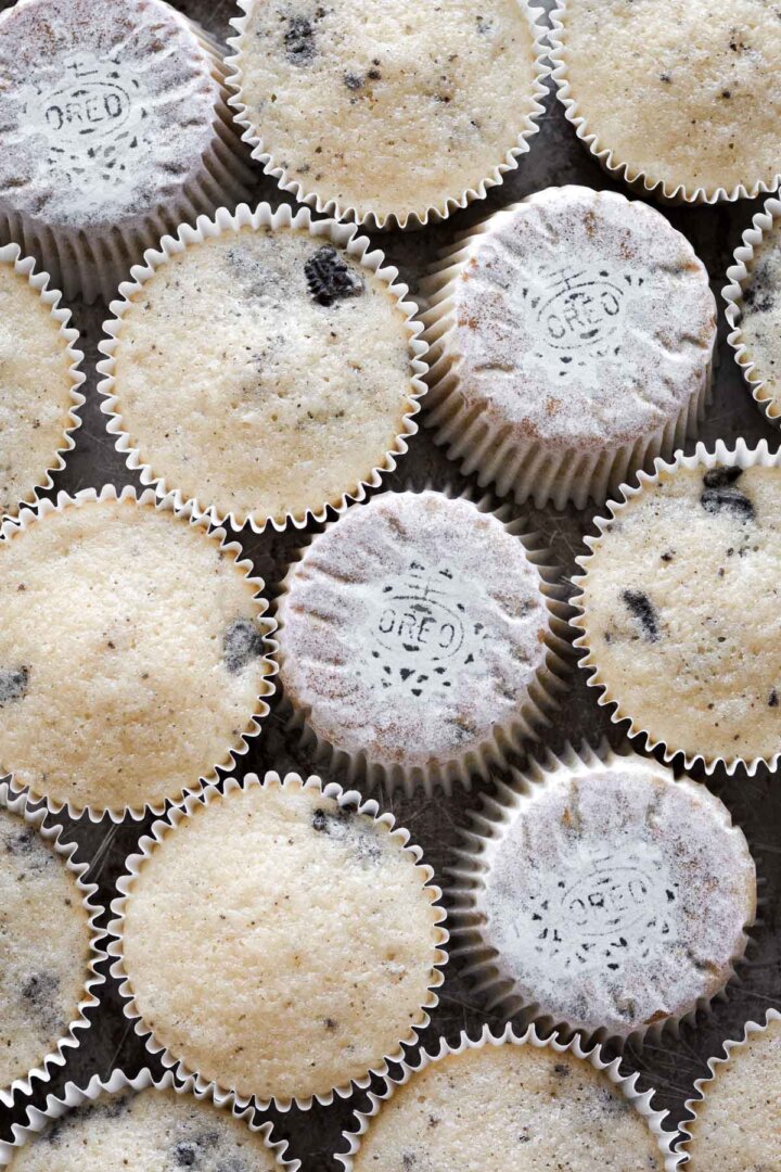 Cookies and cream cupcakes, without frosting.