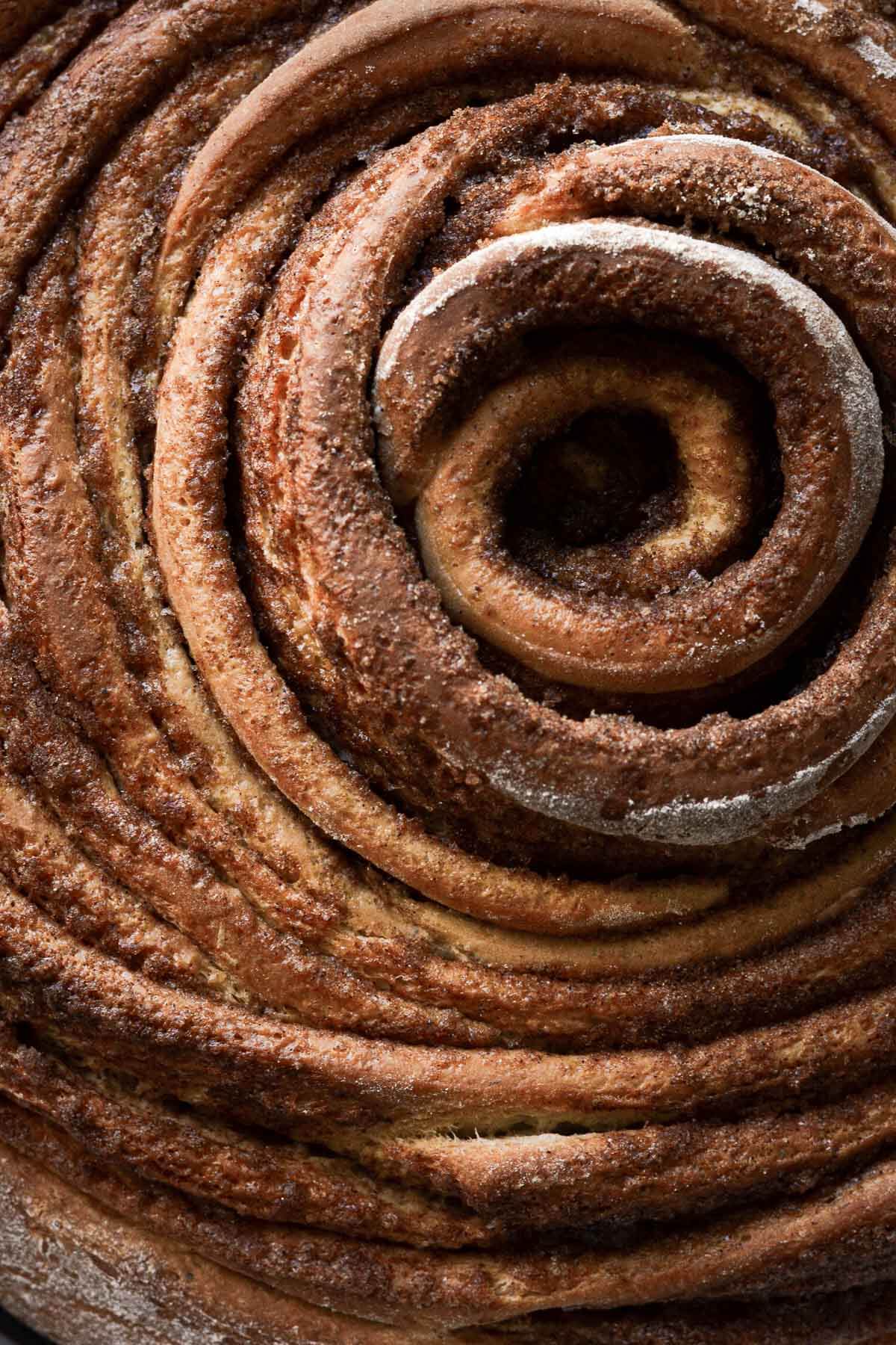 Spirals of dough making a giant cinnamon roll.