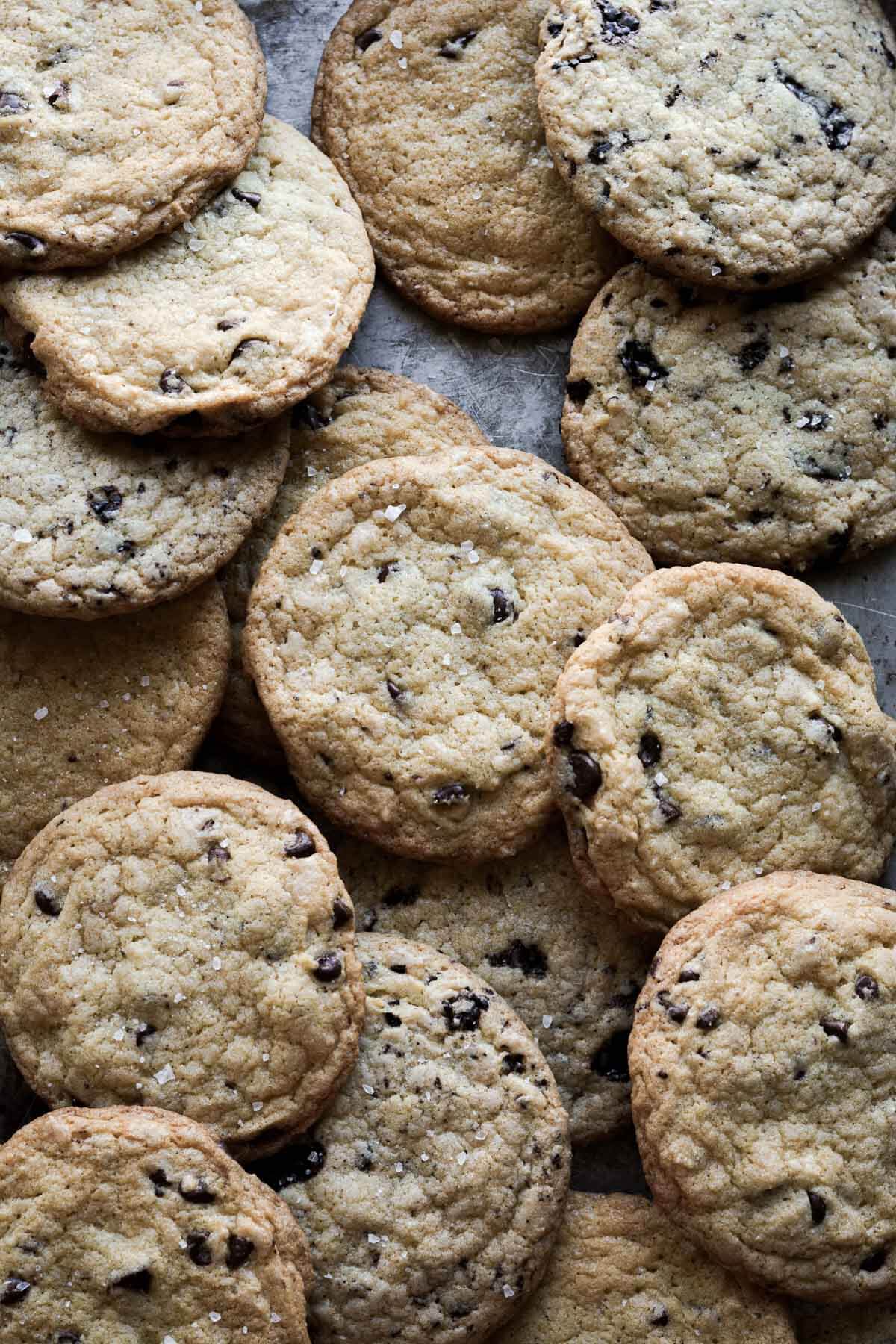 Crispy chocolate chip cookies sprinkled with salt.