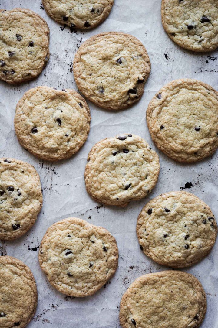 Chocolate chip cookies on a baking sheet.