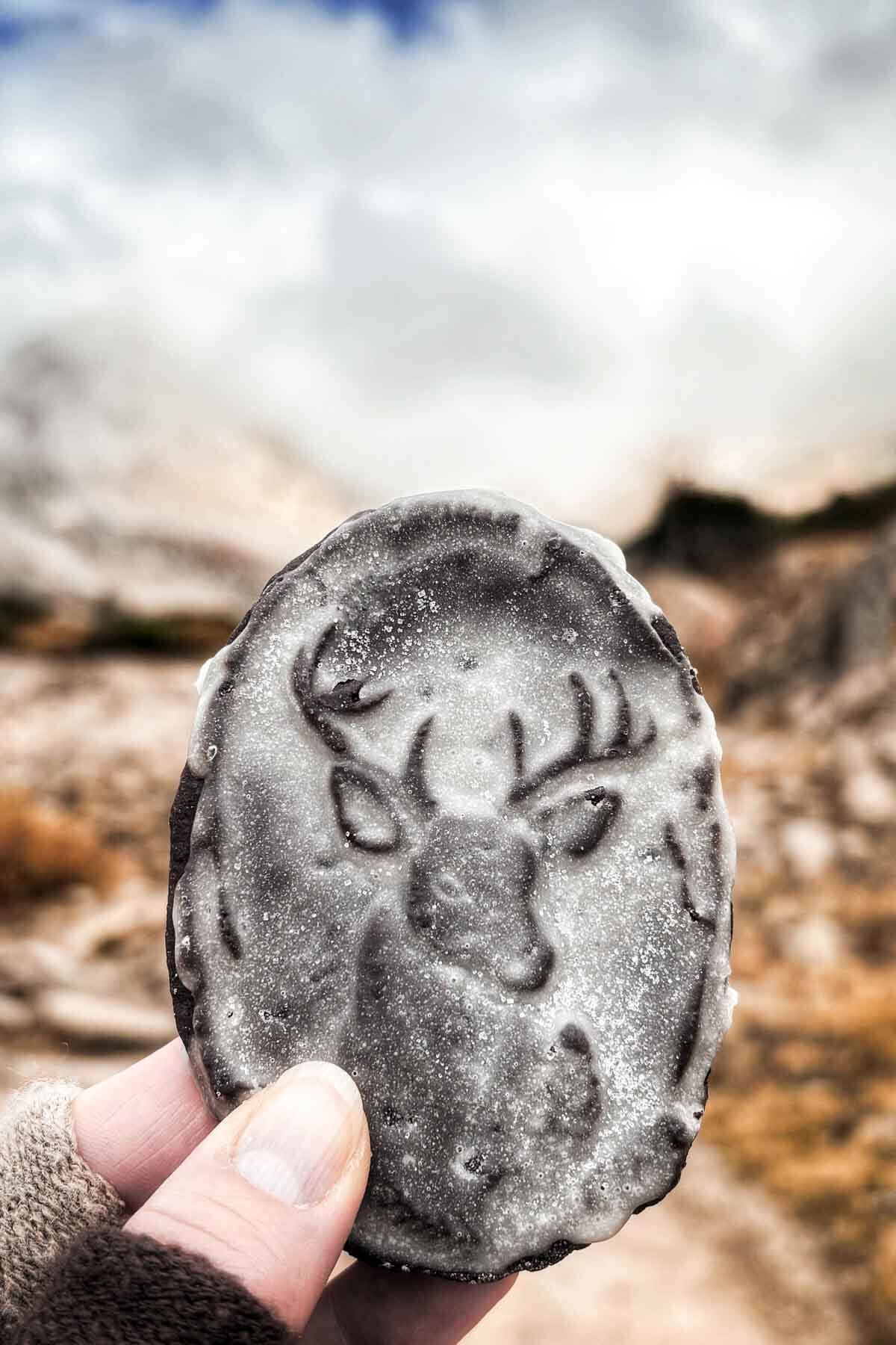 Iced chocolate reindeer cookie, held in front of a mountain backdrop.